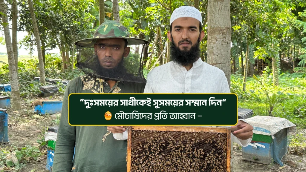 🐝 মৌচাষিদের প্রতি সম্মান: সুদিনে যেন ভুলে না যাই দুর্দিনের সাথীদের