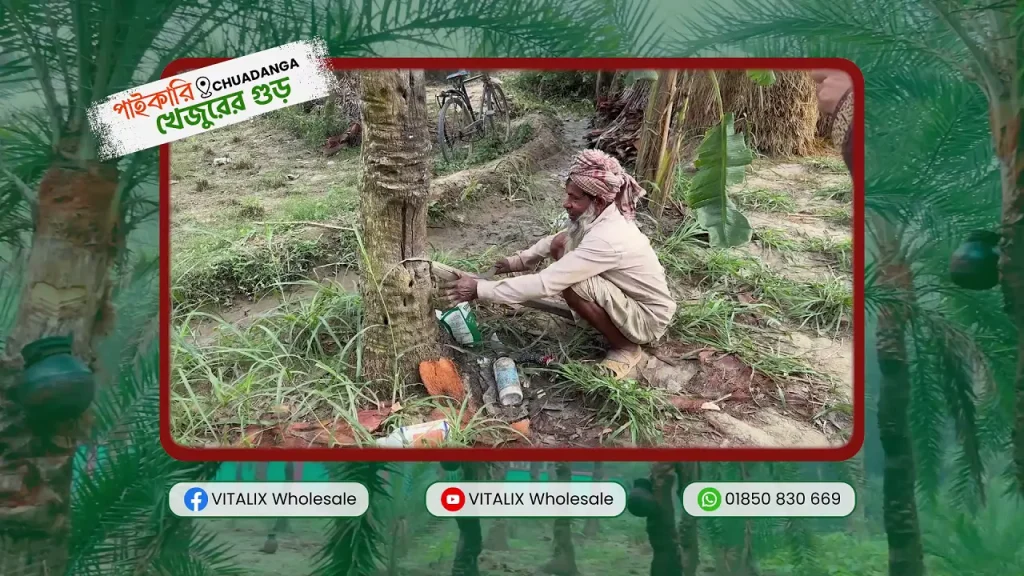 খেজুরের গুড় আসছে........(পাইকারি) ২০২৫-২০২৬