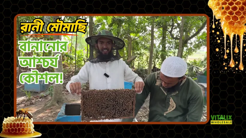 🐝 নতুন রানী মৌমাছি বানানোর আশ্চর্য কৌশল! 🍯