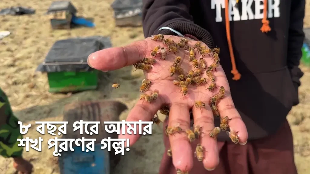 ৮ বছর পরে আমার শখ পূরণের গল্প! আমার নিজের হাতে মৌমাছি সাজিয়ে রেখেছি।