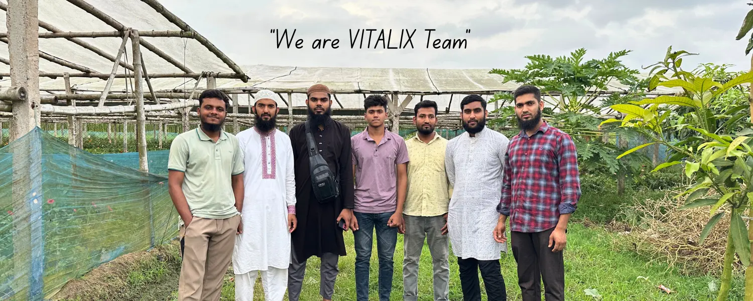 We are VITALIX Team
